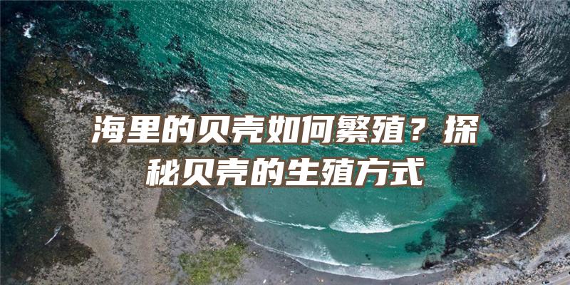 海里的贝壳如何繁殖？探秘贝壳的生殖方式