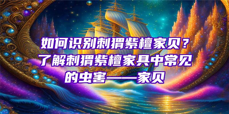 如何识别刺猬紫檀家贝？了解刺猬紫檀家具中常见的虫害——家贝