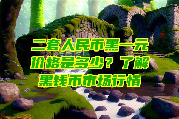 二套人民币黑一元价格是多少？了解黑钱币市场行情