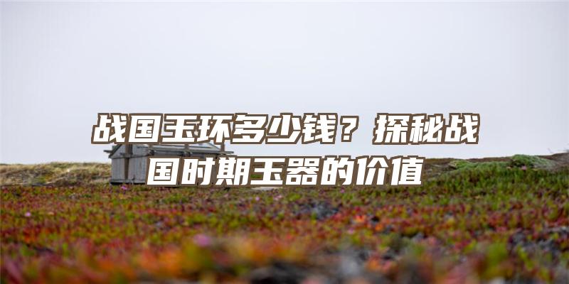 战国玉环多少钱？探秘战国时期玉器的价值