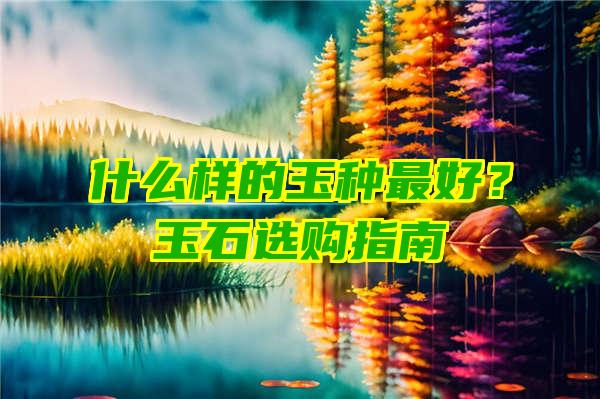 什么样的玉种最好？玉石选购指南