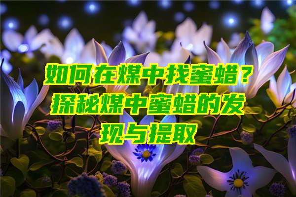 如何在煤中找蜜蜡？探秘煤中蜜蜡的发现与提取