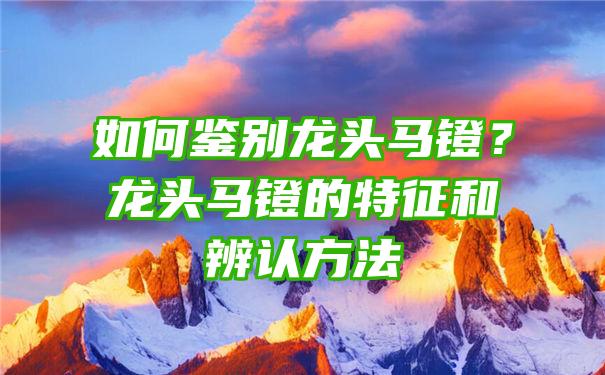 如何鉴别龙头马镫？龙头马镫的特征和辨认方法