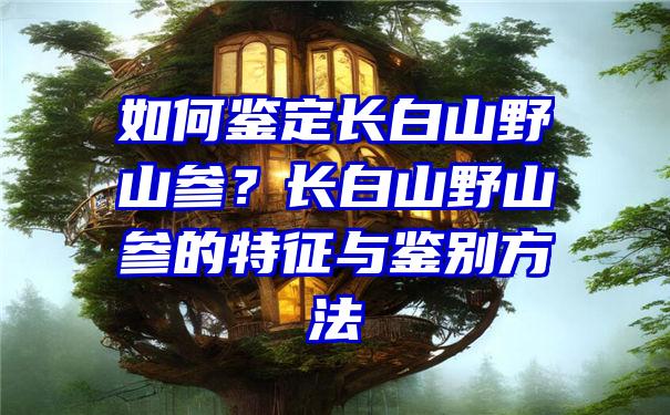 如何鉴定长白山野山参？长白山野山参的特征与鉴别方法