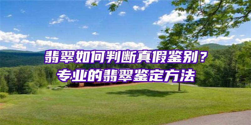 翡翠如何判断真假鉴别？专业的翡翠鉴定方法