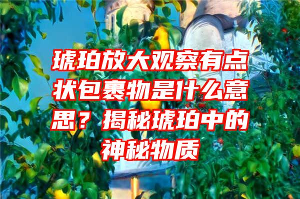 琥珀放大观察有点状包裹物是什么意思？揭秘琥珀中的神秘物质