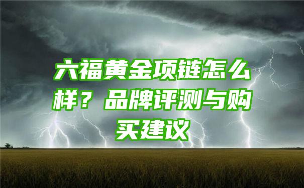 六福黄金项链怎么样？品牌评测与购买建议