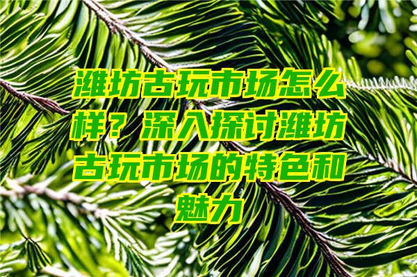 潍坊古玩市场怎么样？深入探讨潍坊古玩市场的特色和魅力