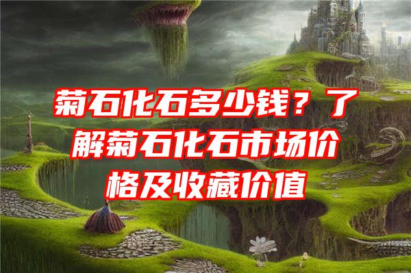 菊石化石多少钱？了解菊石化石市场价格及收藏价值