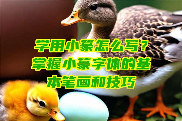 学用小篆怎么写？掌握小篆字体的基本笔画和技巧