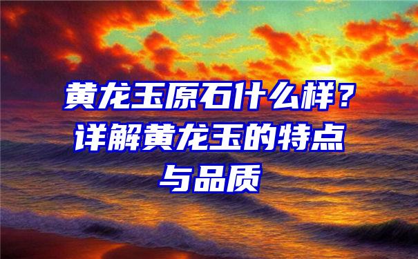 黄龙玉原石什么样？详解黄龙玉的特点与品质