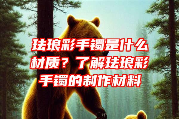 珐琅彩手镯是什么材质？了解珐琅彩手镯的制作材料