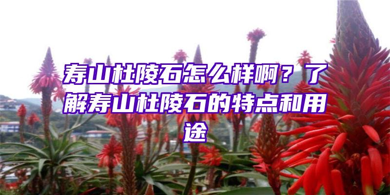 寿山杜陵石怎么样啊？了解寿山杜陵石的特点和用途