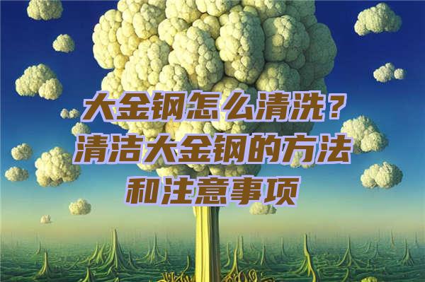 大金钢怎么清洗？清洁大金钢的方法和注意事项