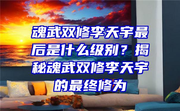 魂武双修李天宇最后是什么级别？揭秘魂武双修李天宇的最终修为