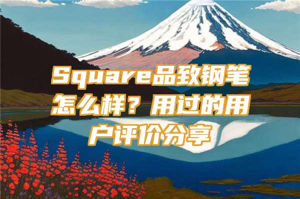 Square品致钢笔怎么样？用过的用户评价分享