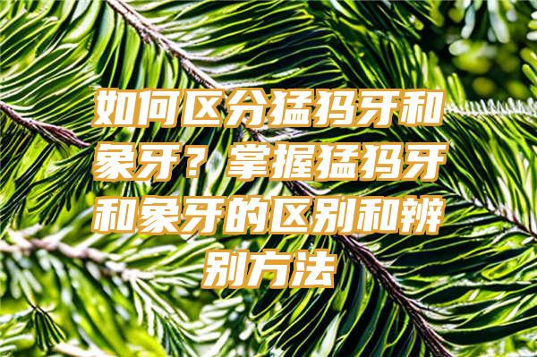 如何区分猛犸牙和象牙？掌握猛犸牙和象牙的区别和辨别方法