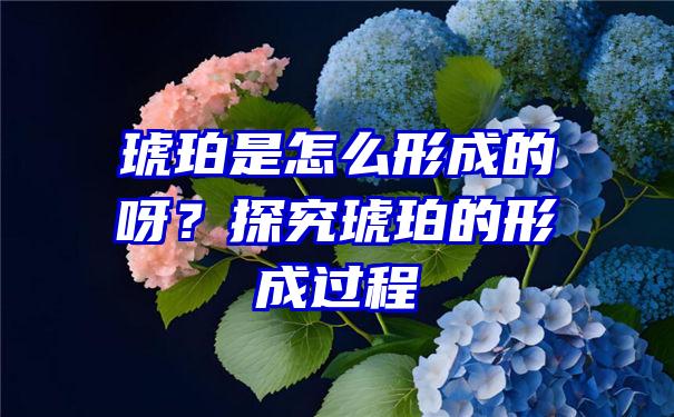 琥珀是怎么形成的呀？探究琥珀的形成过程