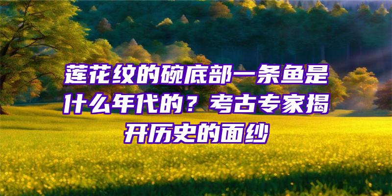 莲花纹的碗底部一条鱼是什么年代的？考古专家揭开历史的面纱