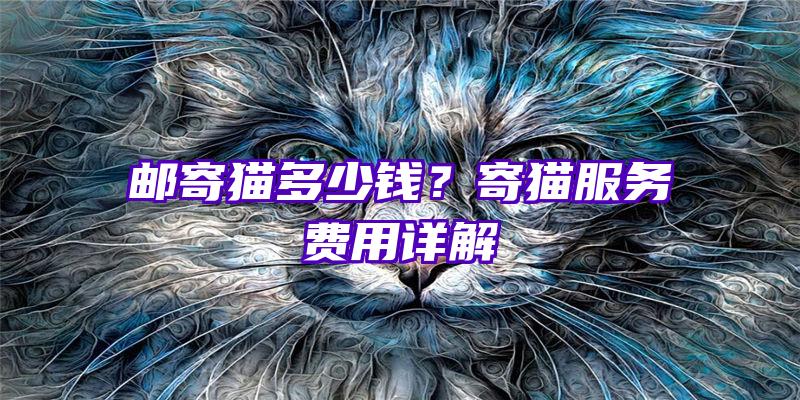 邮寄猫多少钱？寄猫服务费用详解