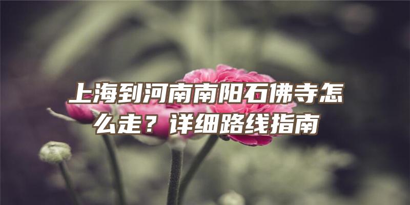 上海到河南南阳石怎么走？详细路线指南