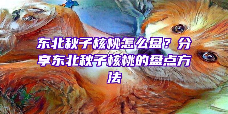 东北秋子核桃怎么盘？分享东北秋子核桃的盘点方法