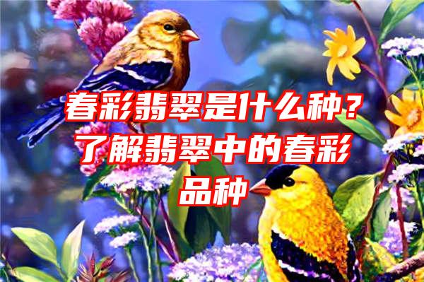 春彩翡翠是什么种？了解翡翠中的春彩品种