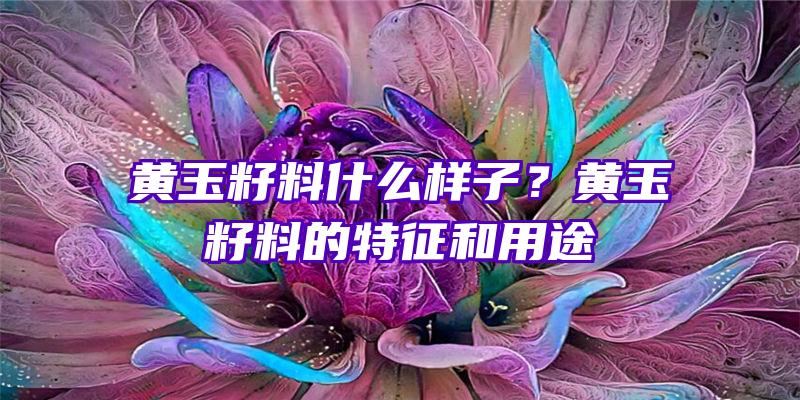 黄玉籽料什么样子？黄玉籽料的特征和用途