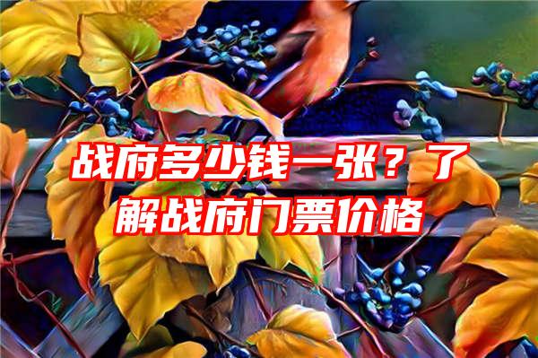 战府多少钱一张？了解战府门票价格