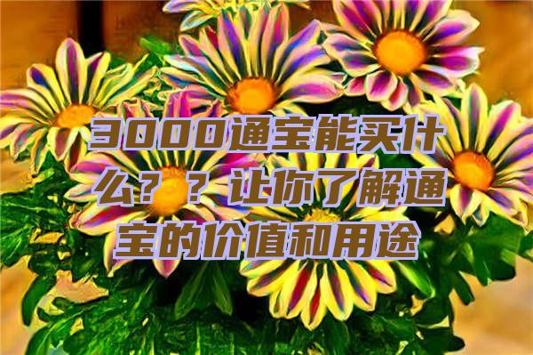 3000通宝能买什么？？让你了解通宝的价值和用途