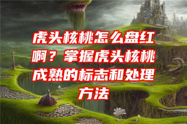 虎头核桃怎么盘红啊？掌握虎头核桃成熟的标志和处理方法