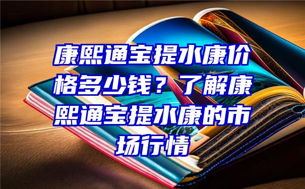 康熙通宝提水康价格多少钱？了解康熙通宝提水康的市场行情