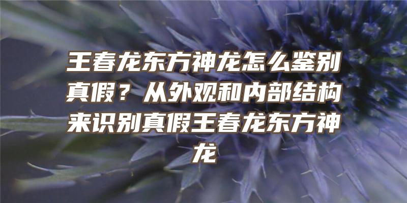 王春龙东方神龙怎么鉴别真假？从外观和内部结构来识别真假王春龙东方神龙