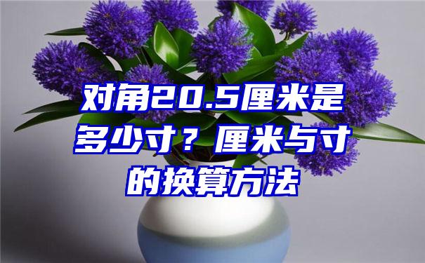 对角20.5厘米是多少寸？厘米与寸的换算方法