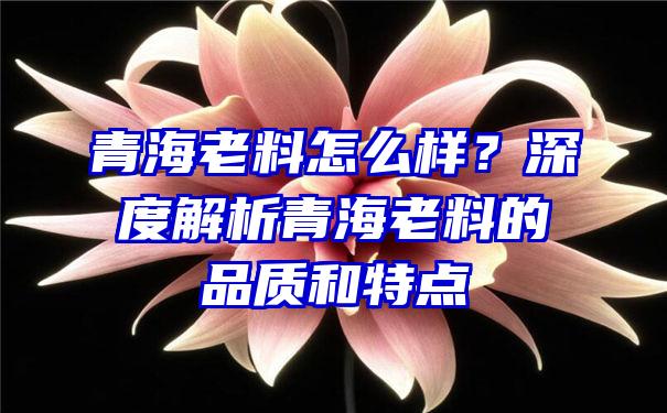 青海老料怎么样？深度解析青海老料的品质和特点