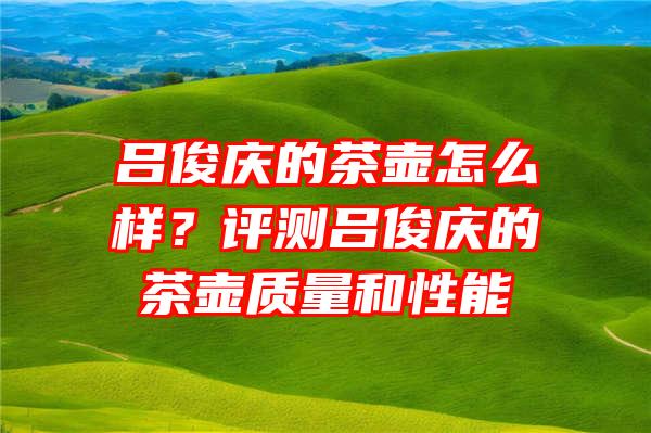 吕俊庆的茶壶怎么样？评测吕俊庆的茶壶质量和性能