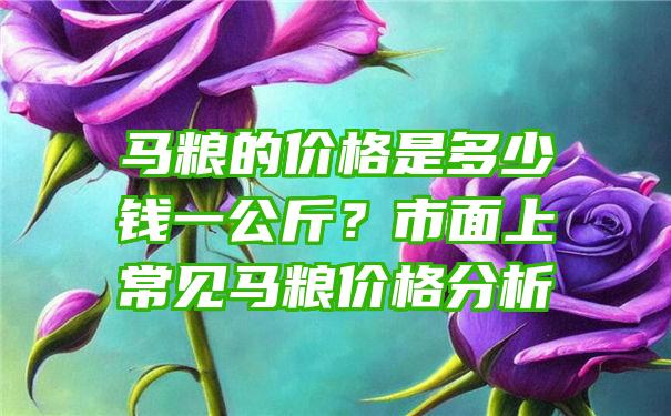 马粮的价格是多少钱一公斤？市面上常见马粮价格分析