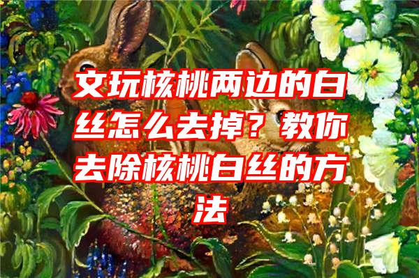 文玩核桃两边的白丝怎么去掉？教你去除核桃白丝的方法