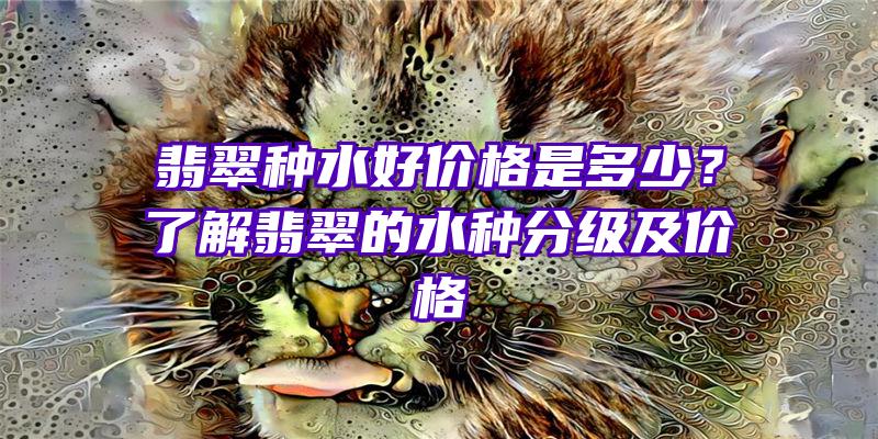 翡翠种水好价格是多少？了解翡翠的水种分级及价格