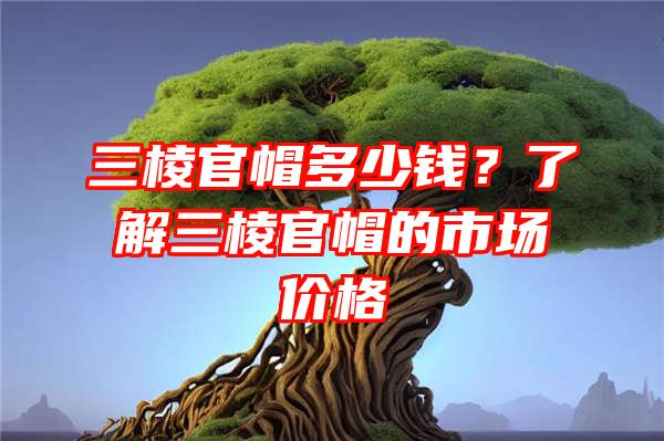 三棱官帽多少钱？了解三棱官帽的市场价格