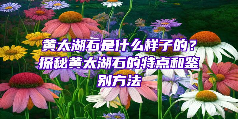 黄太湖石是什么样子的？探秘黄太湖石的特点和鉴别方法