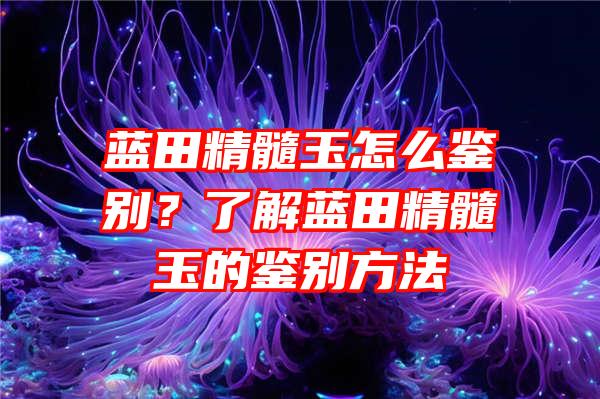 蓝田精髓玉怎么鉴别？了解蓝田精髓玉的鉴别方法