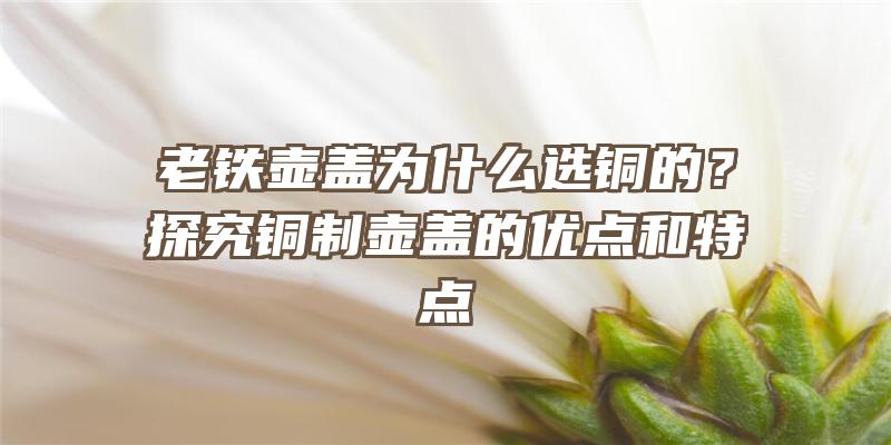 老铁壶盖为什么选铜的？探究铜制壶盖的优点和特点