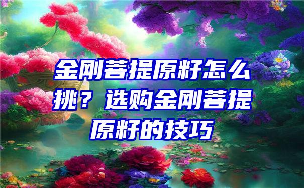 金刚菩提原籽怎么挑？选购金刚菩提原籽的技巧