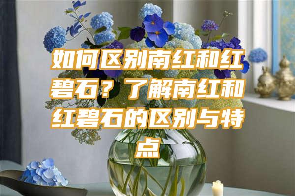 如何区别南红和红碧石？了解南红和红碧石的区别与特点