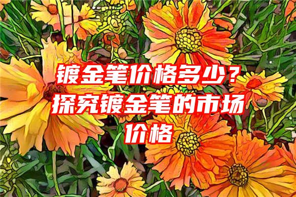 镀金笔价格多少？探究镀金笔的市场价格