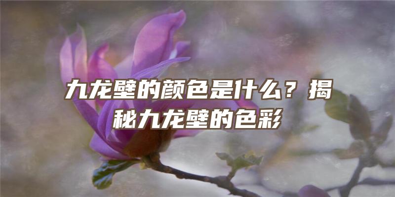 九龙壁的颜色是什么？揭秘九龙壁的色彩