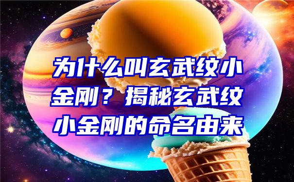 为什么叫玄武纹小金刚？揭秘玄武纹小金刚的命名由来