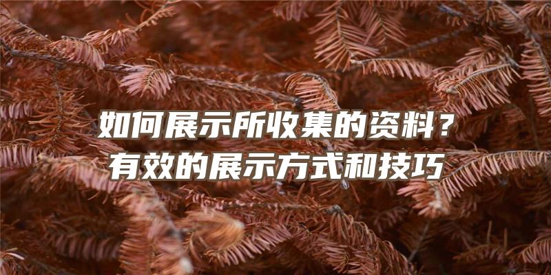 如何展示所收集的资料？有效的展示方式和技巧