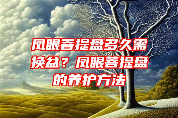 凤眼菩提盘多久需换盆？凤眼菩提盘的养护方法